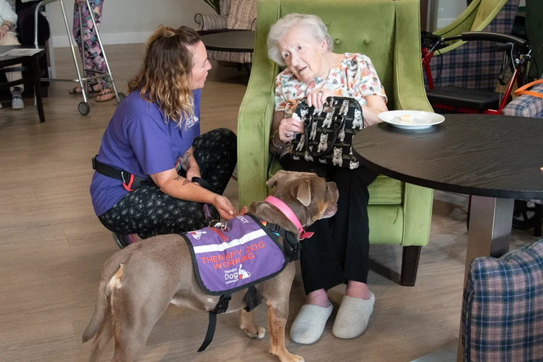 Pudgy the therapy dog is introduced to one of our Chamomile Gardens customers by Sally, Pudgy's owner