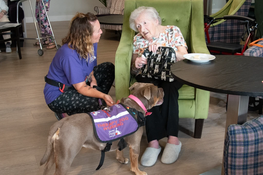 Pudgy the therapy dog is introduced to one of our Chamomile Gardens customers by Sally, Pudgy's owner