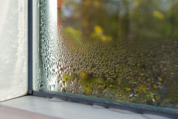 Close-up picture of a window with condensation on