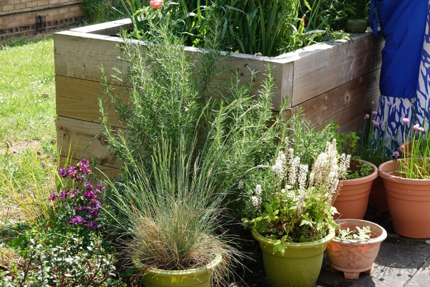 Plants and plant pots next to a raised flower bed